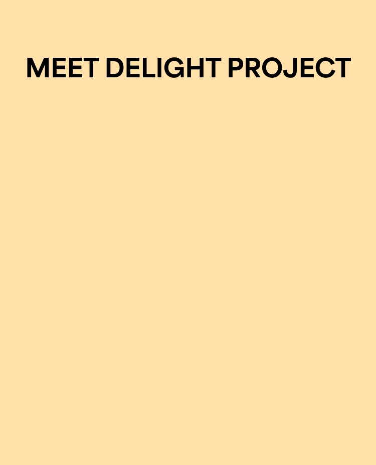 MEET DELIGHT PROJECT