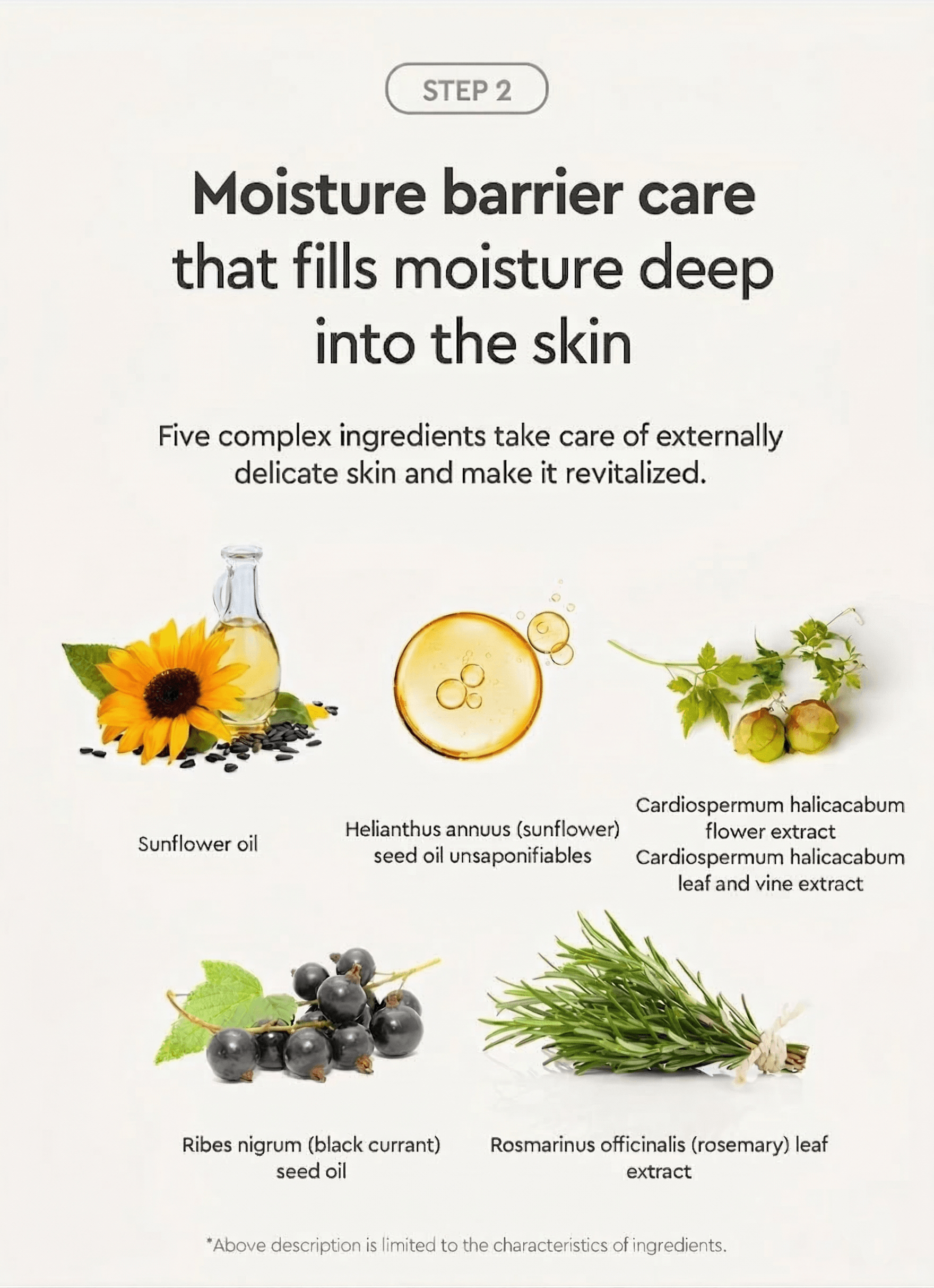 DEWYTREE Pick And Quick Moisture Full Mask 12.69 oz.(360g) x 30ea detail 3