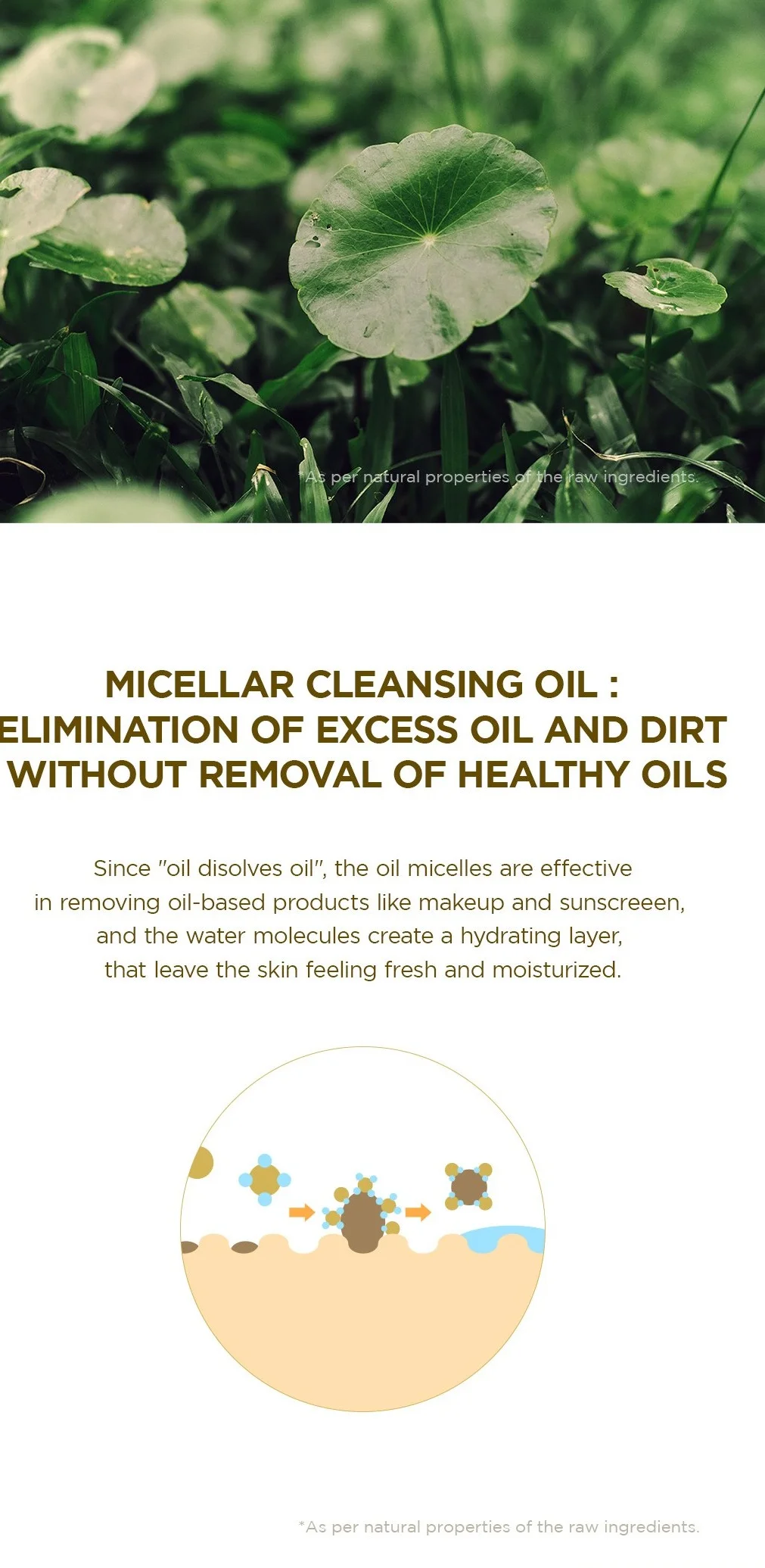 SKIN1004 Madagascar Centella Light Cleansing Oil 6.76 fl. oz.(200ml) detail 3