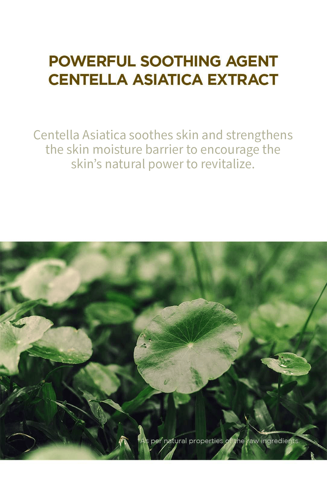 SKIN1004 Madagascar Centella Toning Toner 7.10 fl. oz.(210ml) detail 2