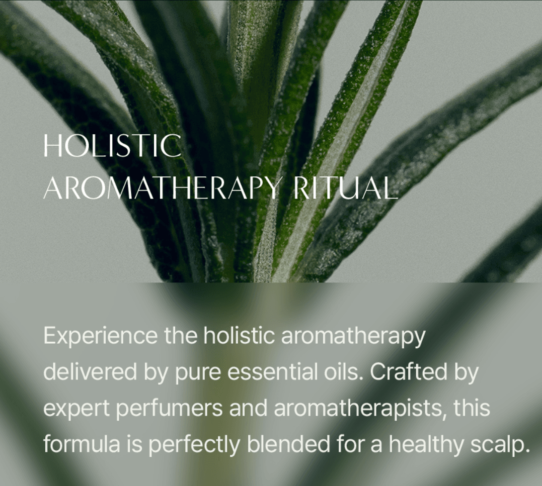 AROMATICA Rosemary Scalp Scrub 5.8 oz.(165g) detail 6