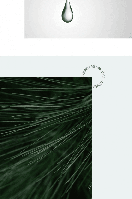ROUND LAB Pine Calming Cica Toner 8.45 fl. oz.(250ml) detail 6