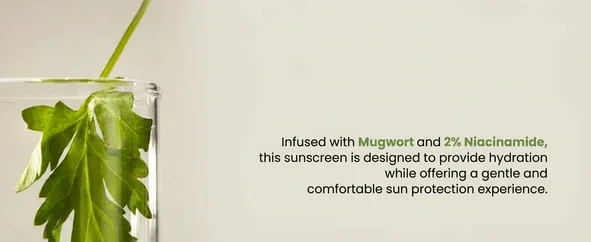 AXIS-Y Complete No-stress Physical Sunscreen Ver.3 1.69 fl. oz.(50ml) detail 3
