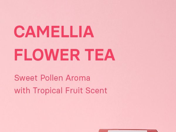 OSULLOC Jeju Camellia Tea 0.07 oz.(2g) x 20ea detail 1