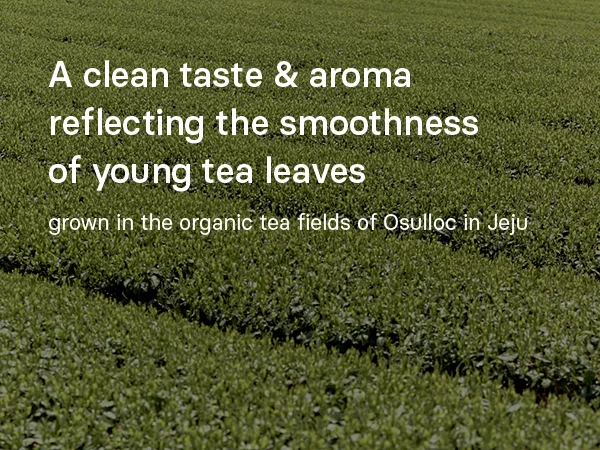OSULLOC Jeju Pure Green Tea 0.07 oz.(2g) x 20ea detail 3
