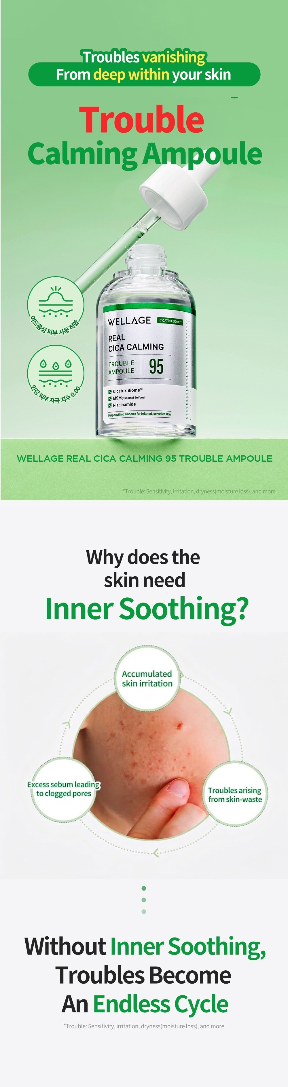 Wellage Real Cica Calming 95 Trouble Ampoule 1.69 fl. oz.(50ml) detail 3