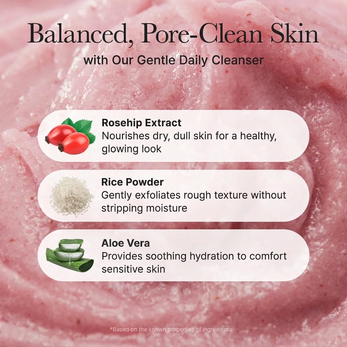 Arencia Fresh Royal Rosehip Rice Mochi Cleanser 4.23 oz.(120g) detail 4