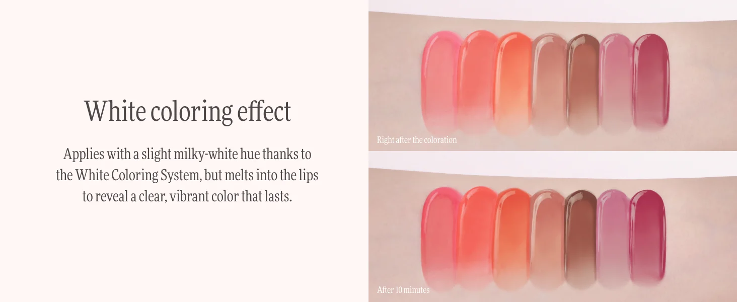 [7colors] Dinto (le Chat Botté Collection) Blur-jelly Plumping Lip Tint 0.12 oz.(3.5g) detail 4