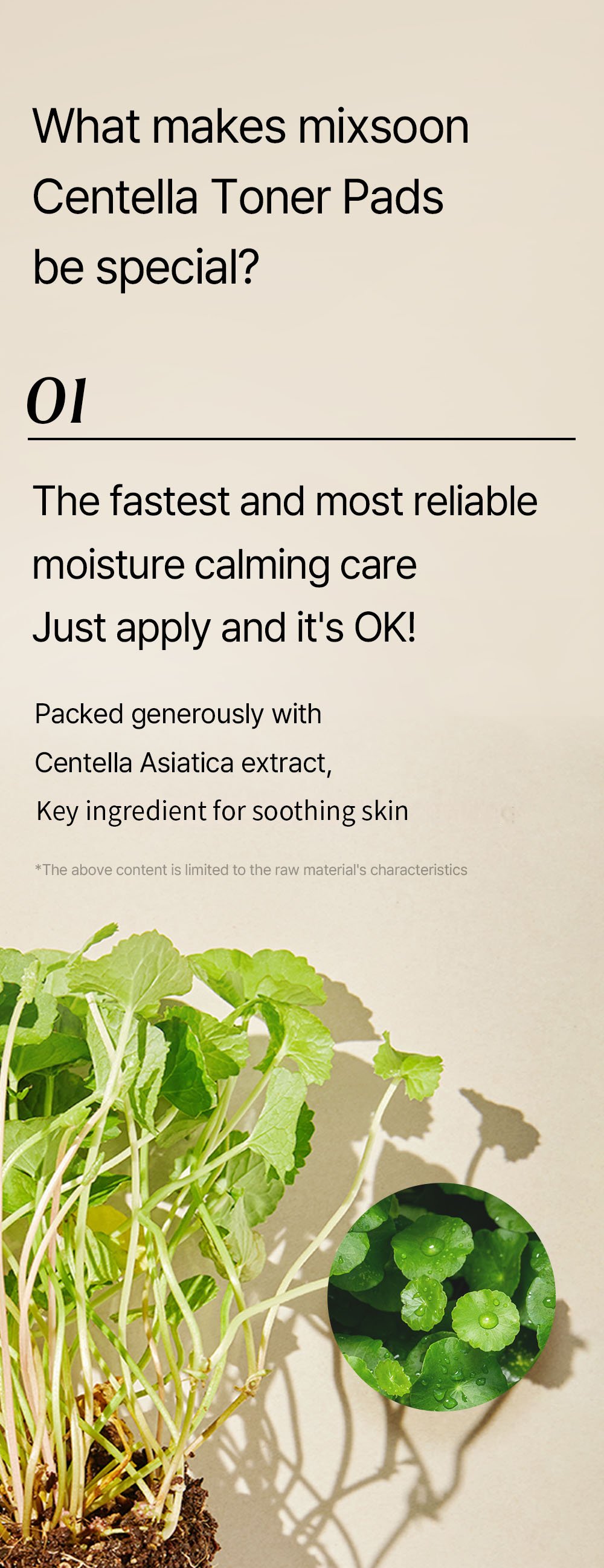mixsoon Centella Toner Pad 6.08 fl. oz.(180ml) x 120ea detail 3
