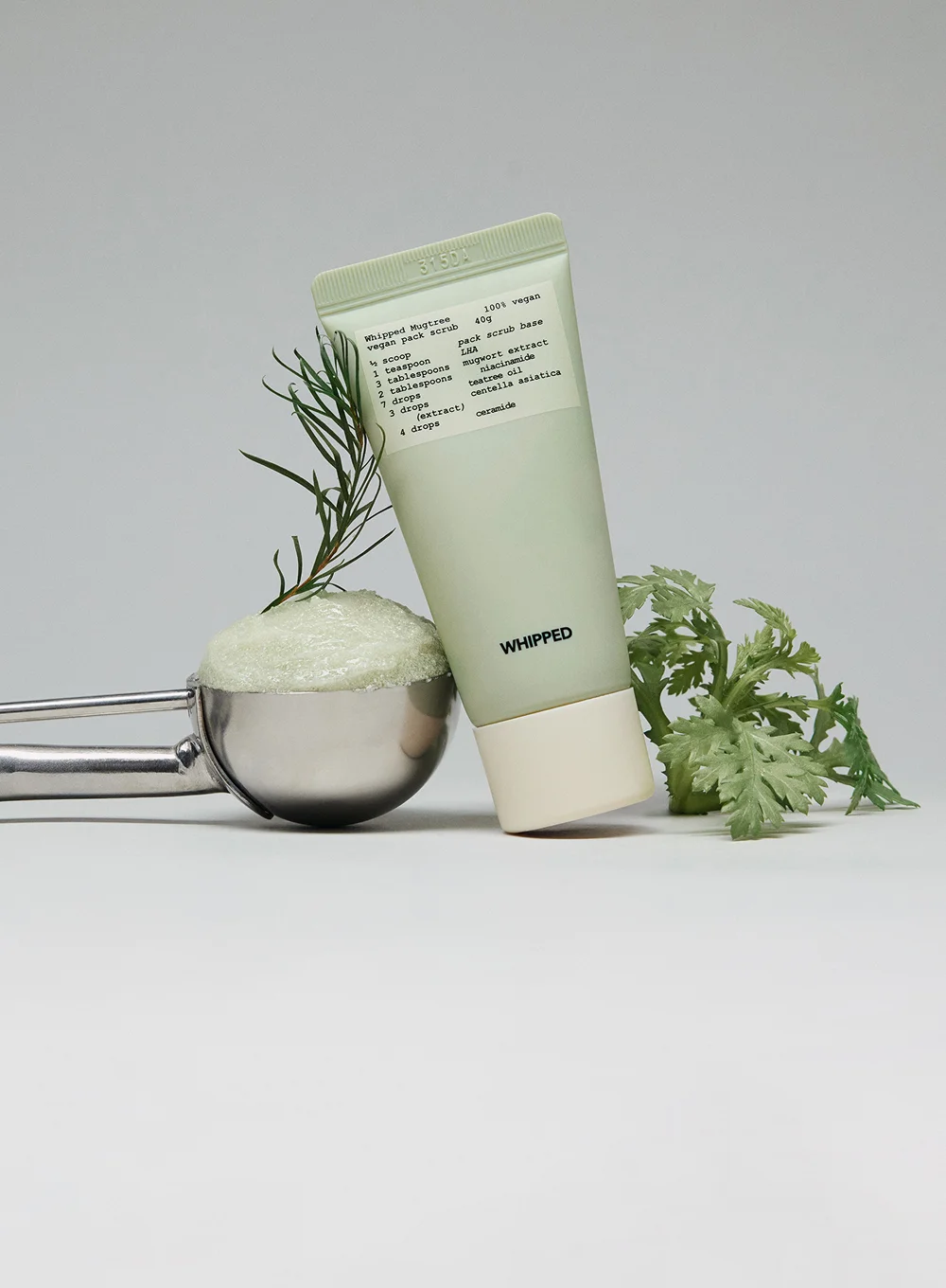 Whipped Mugtree Vegan Pack Scrub 7.41 oz.(210g) detail 6