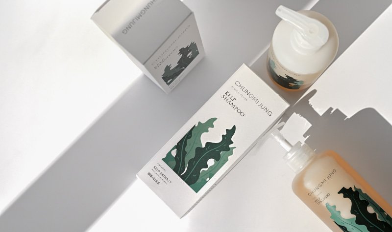CHUNGMIJUNG Kelp Shampoo 16.9 fl. oz.(500ml) detail 4