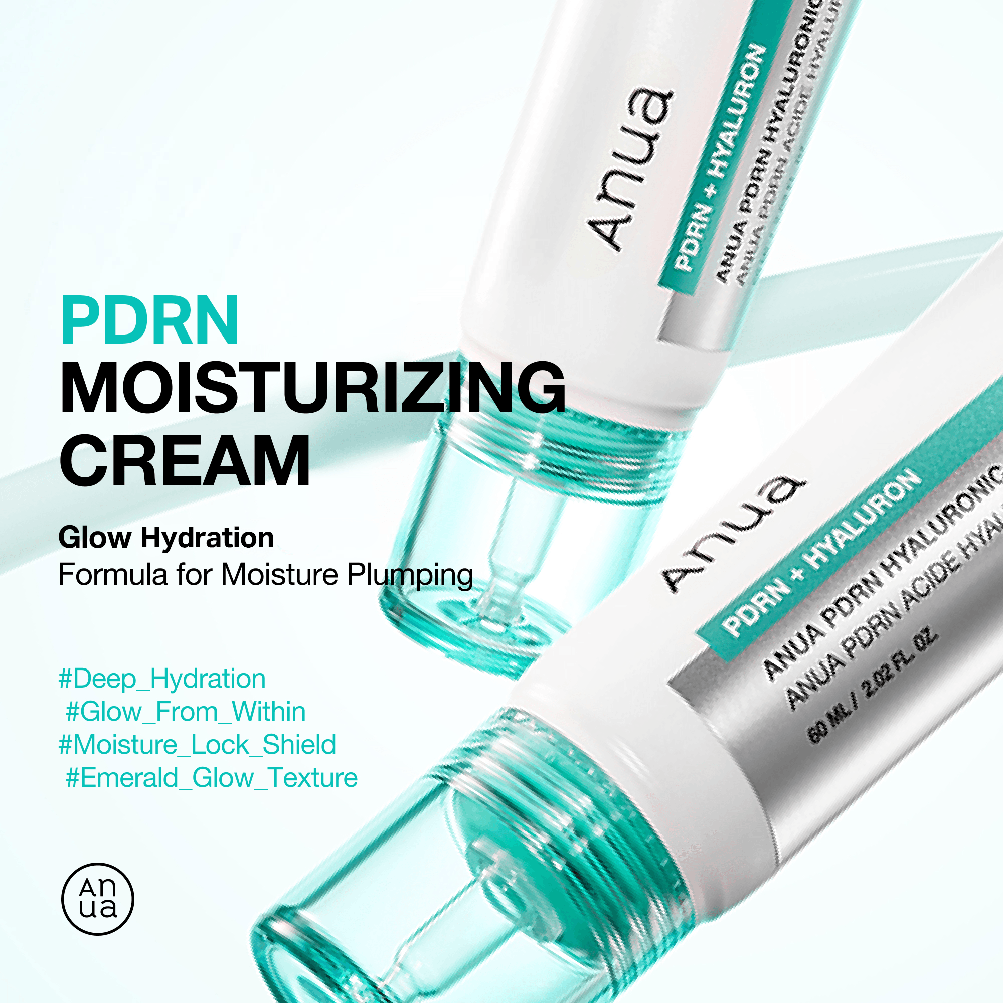 Anua PDRN Hyaluronic Acid 100 Moisturizing Cream 2.02 fl. oz.(60ml) detail 1