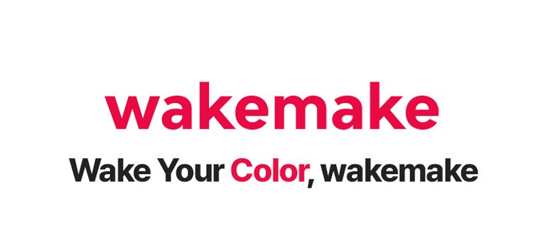 [3colors] WAKE MAKE Stay Fixer Multi Color Powder detail 1