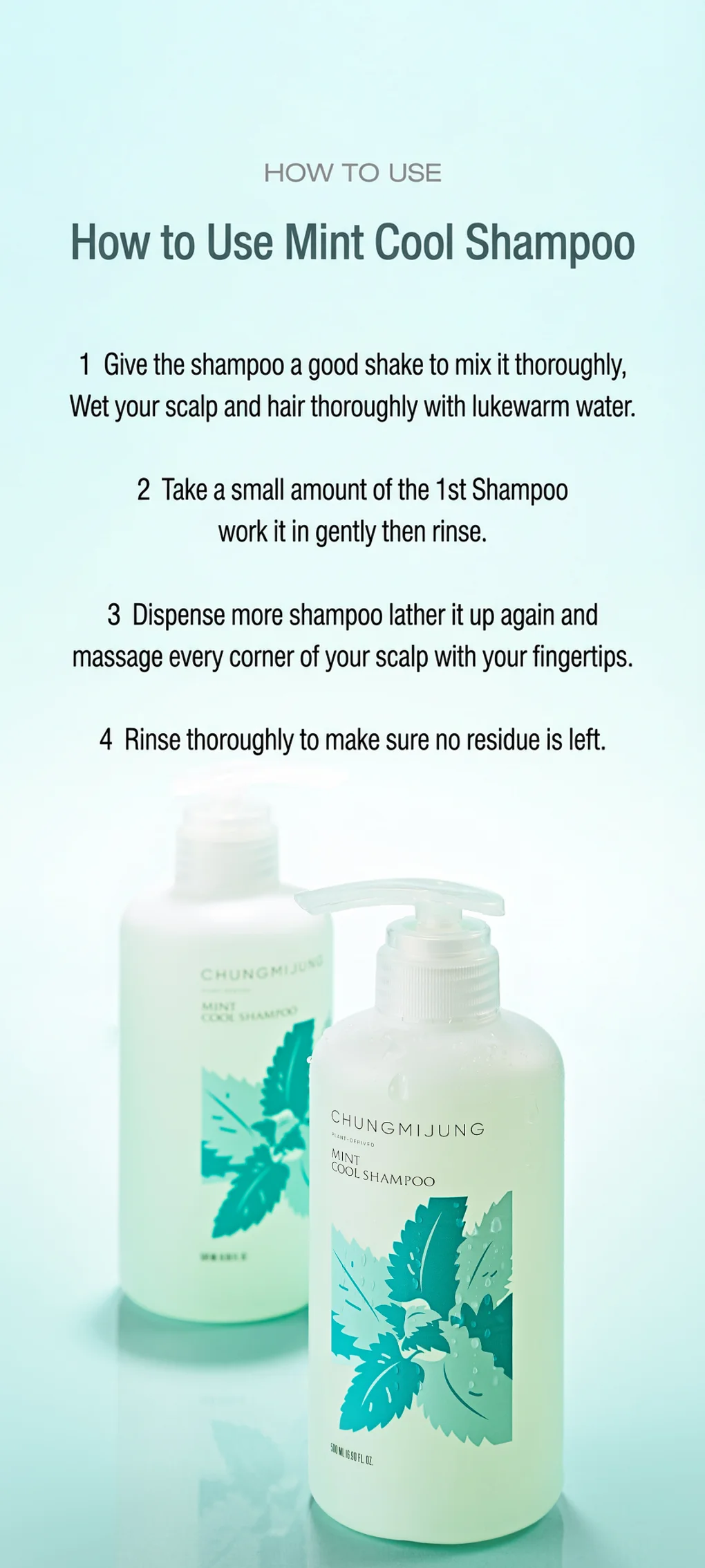 CHUNGMIJUNG Mint Cool Shampoo 16.9 fl. oz.(500ml) detail 9