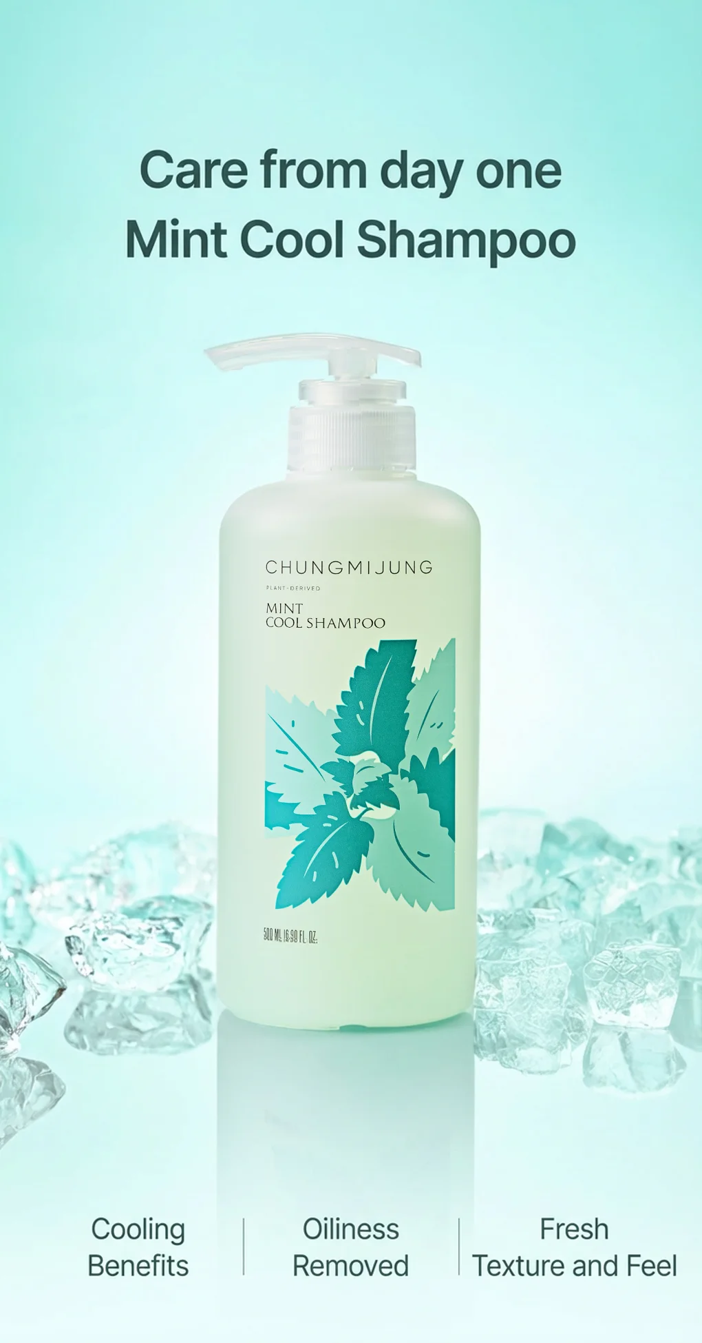 CHUNGMIJUNG Mint Cool Shampoo 16.9 fl. oz.(500ml) detail 7