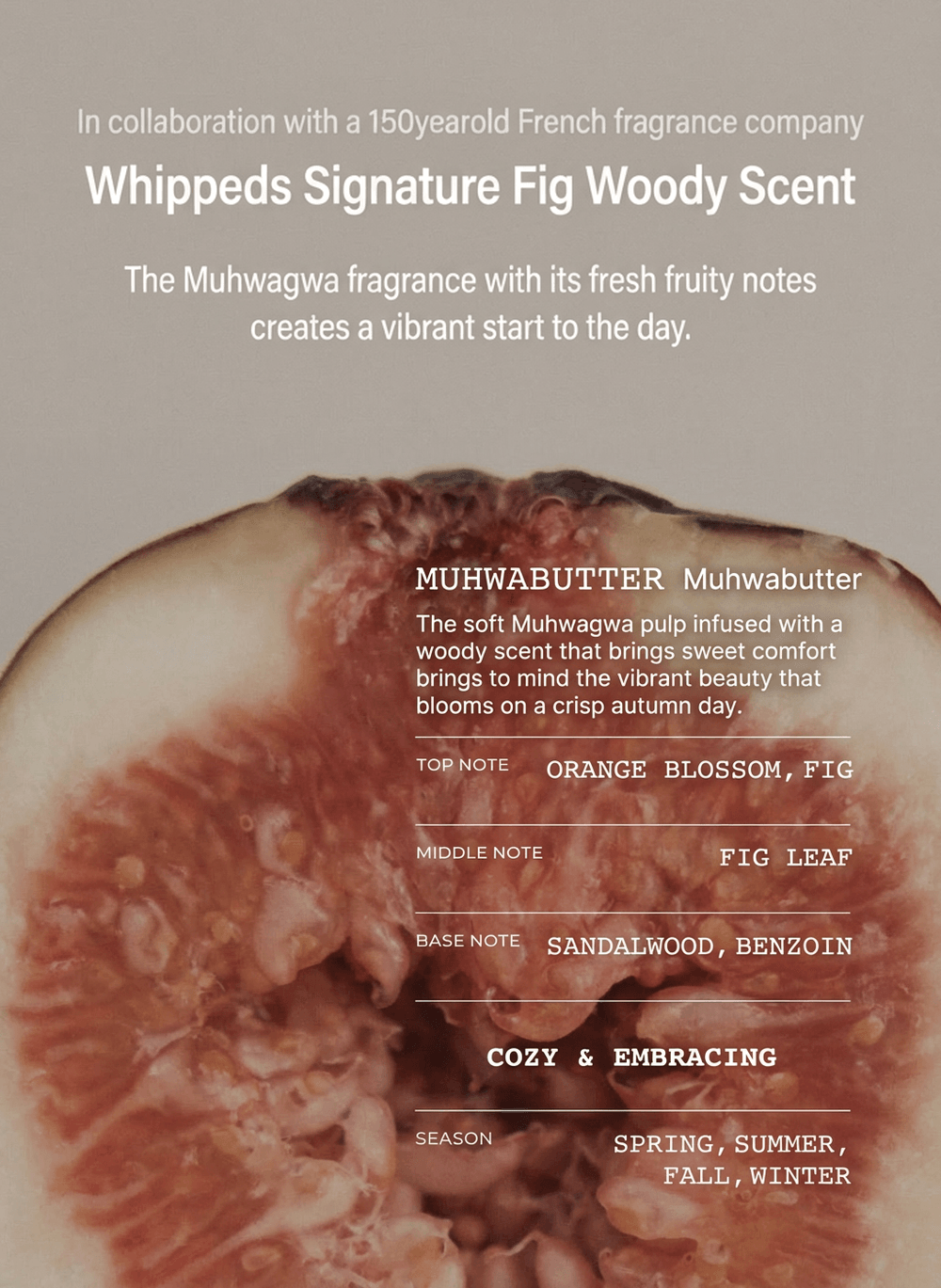 [2types] Whipped Vegan Juicy Hand & Body Wash 9.8 fl. oz.(290ml) detail 4