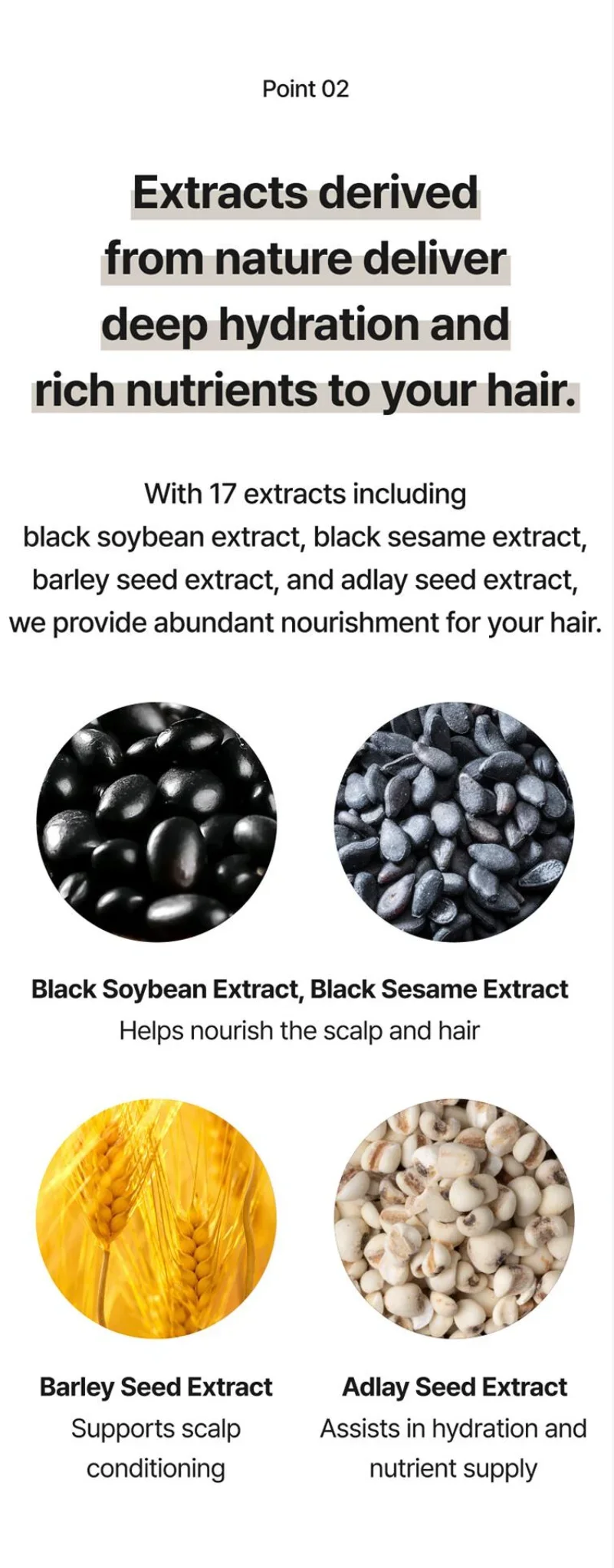 CHUNGMIJUNG Black Grain Treatment 16.9 fl. oz.(500ml) detail 4