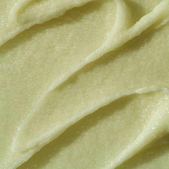 Whipped Mugtree Vegan Pack Scrub 7.41 oz.(210g) - Image 3 of 3