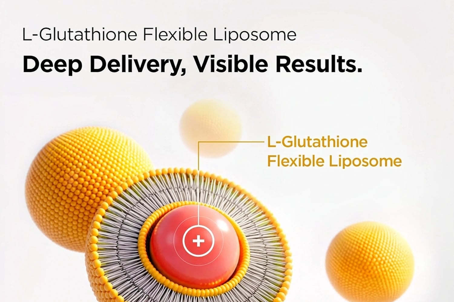 88B/mL L-Glutathione Flexible Liposome