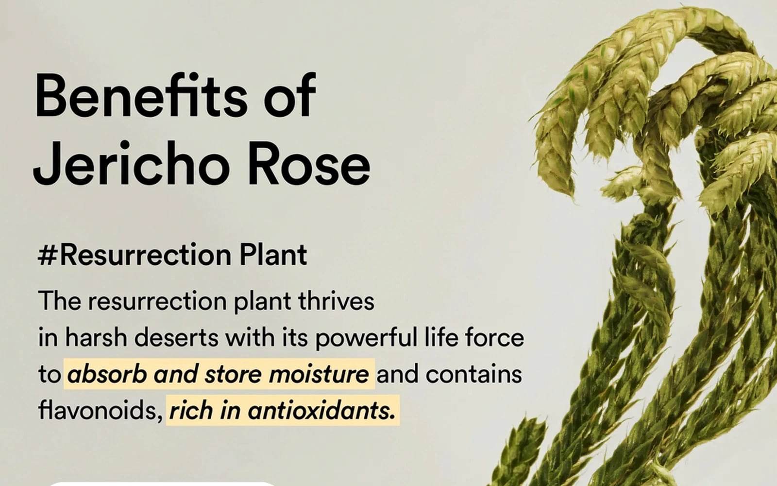 Product detail