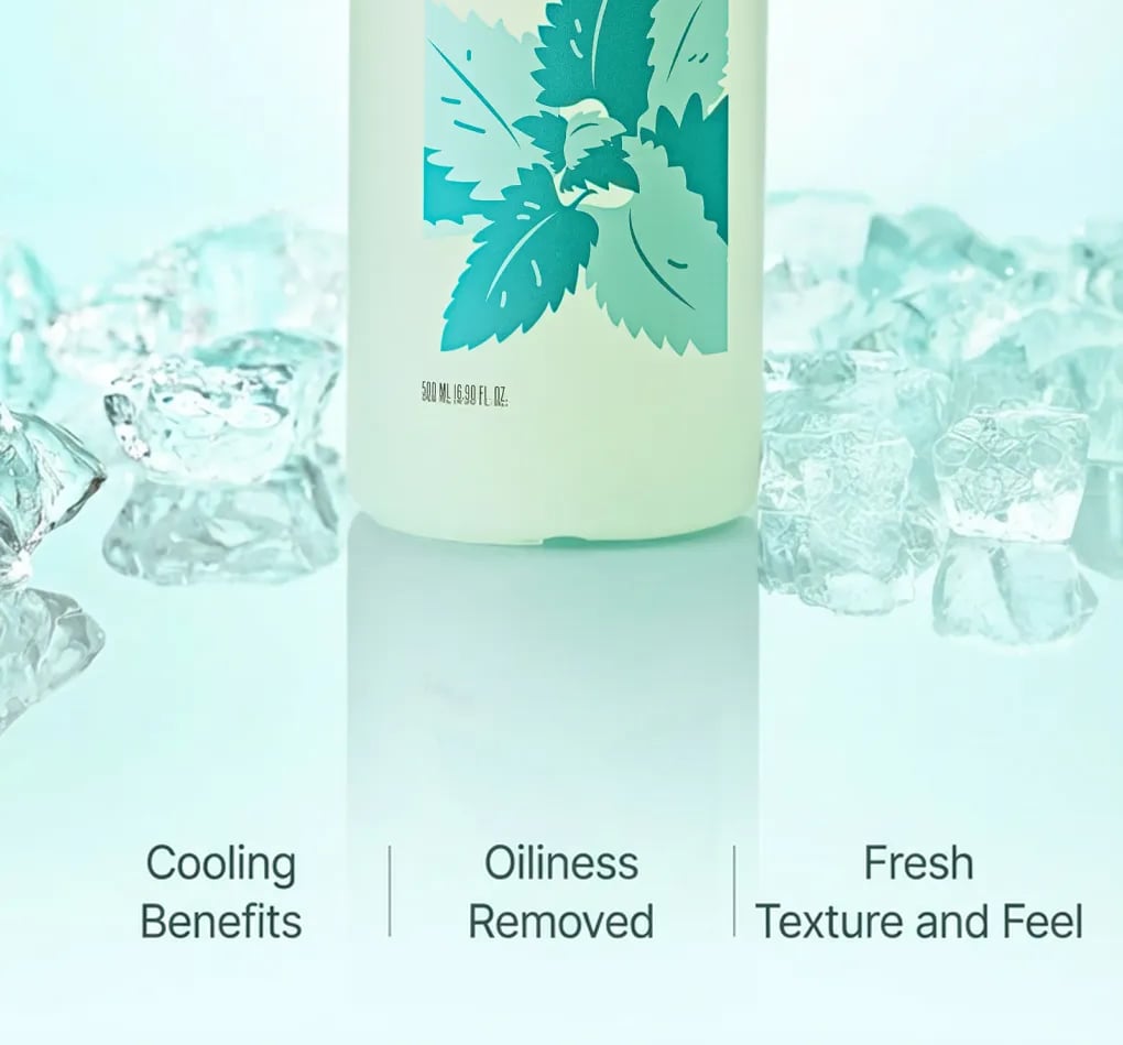 CHUNGMIJUNG Mint Cool Shampoo 16.9 fl. oz.(500ml) | OLIVE YOUNG US
