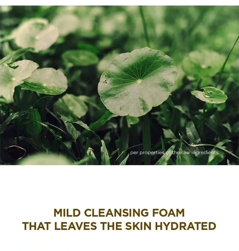 SKIN1004 Madagascar Centella Double Cleansing Duo Set (Cleansing oil 6.76 fl. oz.(200ml) + Cleaning Foam 4.22 fl. oz.(125ml)) detail 7