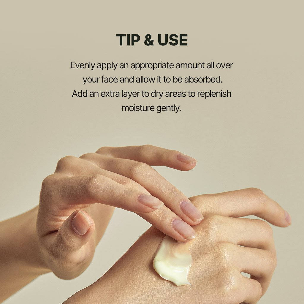 Torriden Solid In Ceramide Cream 2.37 fl. oz.(70ml) detail 8