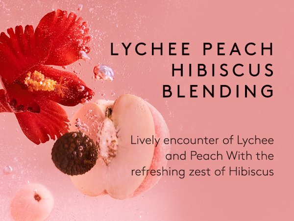 OSULLOC Kombucha Lychee Peach 0.18 oz.(5g) x 10ea detail 2