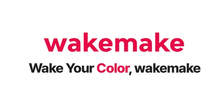 [2types] WAKE MAKE Mix Blurring Volume Shading 0.34 oz.(9.9g) detail 1