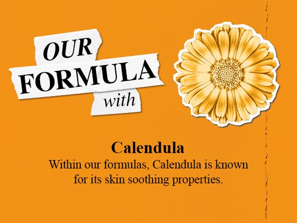 Kiehl's Calendula Deep Cleansing Foaming Face Wash 7.8 fl. oz.(230ml) detail 2