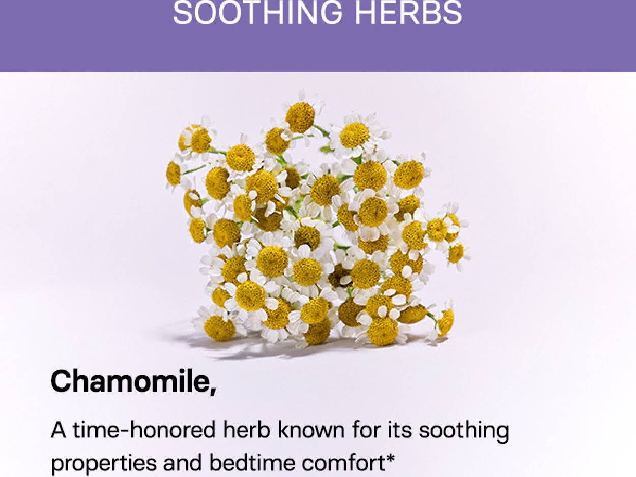 OSULLOC Calming Chamomile Lavender 0.035 oz.(1g) x 20ea detail 3