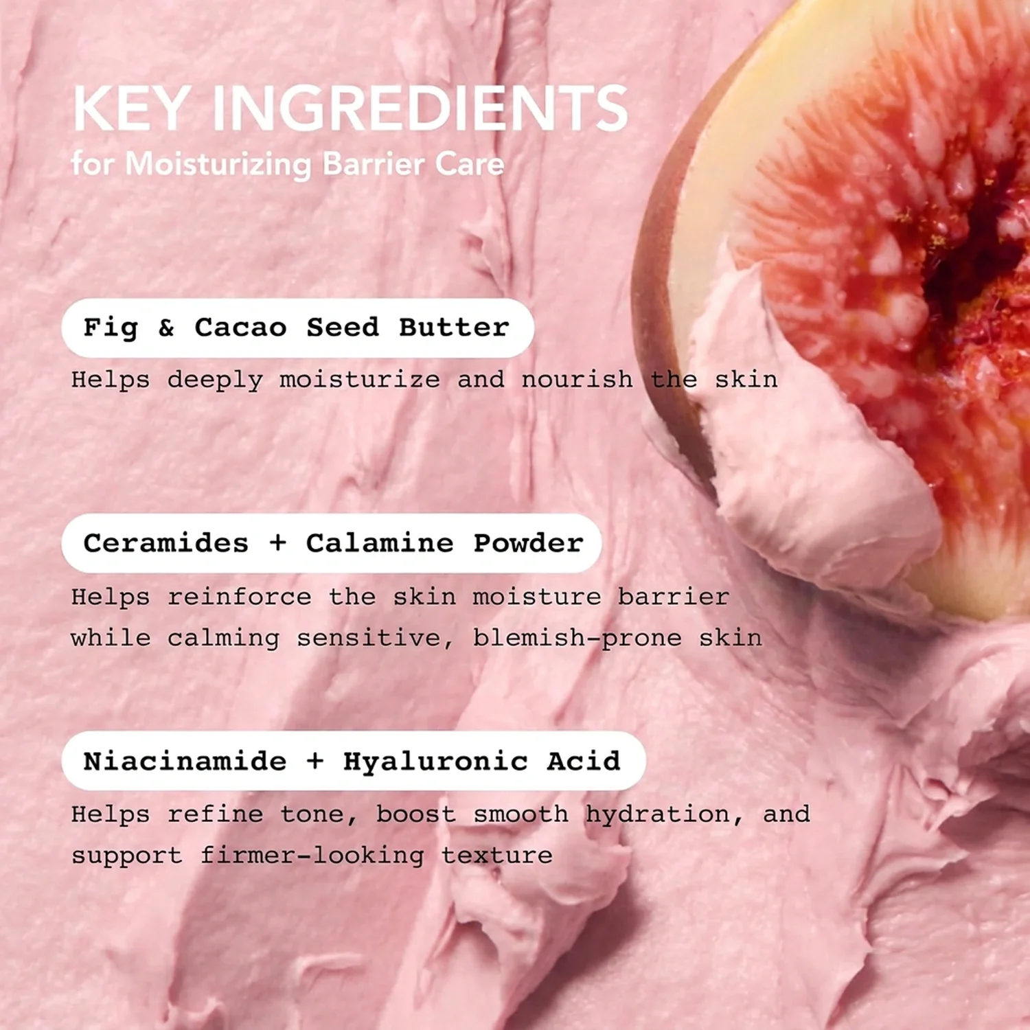Whipped Fig Butter Face Mask Cleanser + Ceramide 4.5 oz.(130g) detail 4