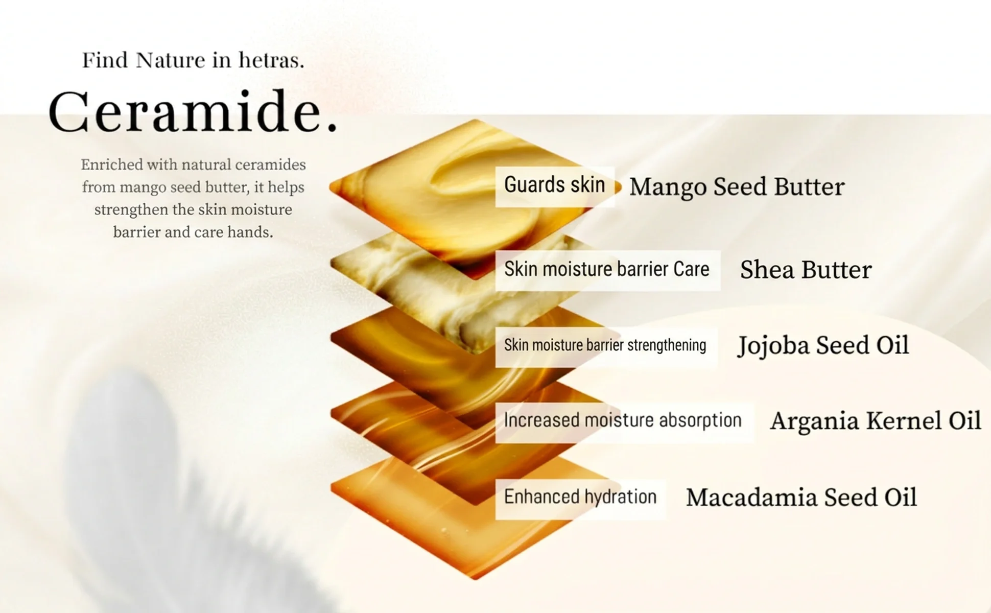 [12scents] hetras Mango Seed Butter Hand Cream 1.69 fl. oz.(50ml) detail 5