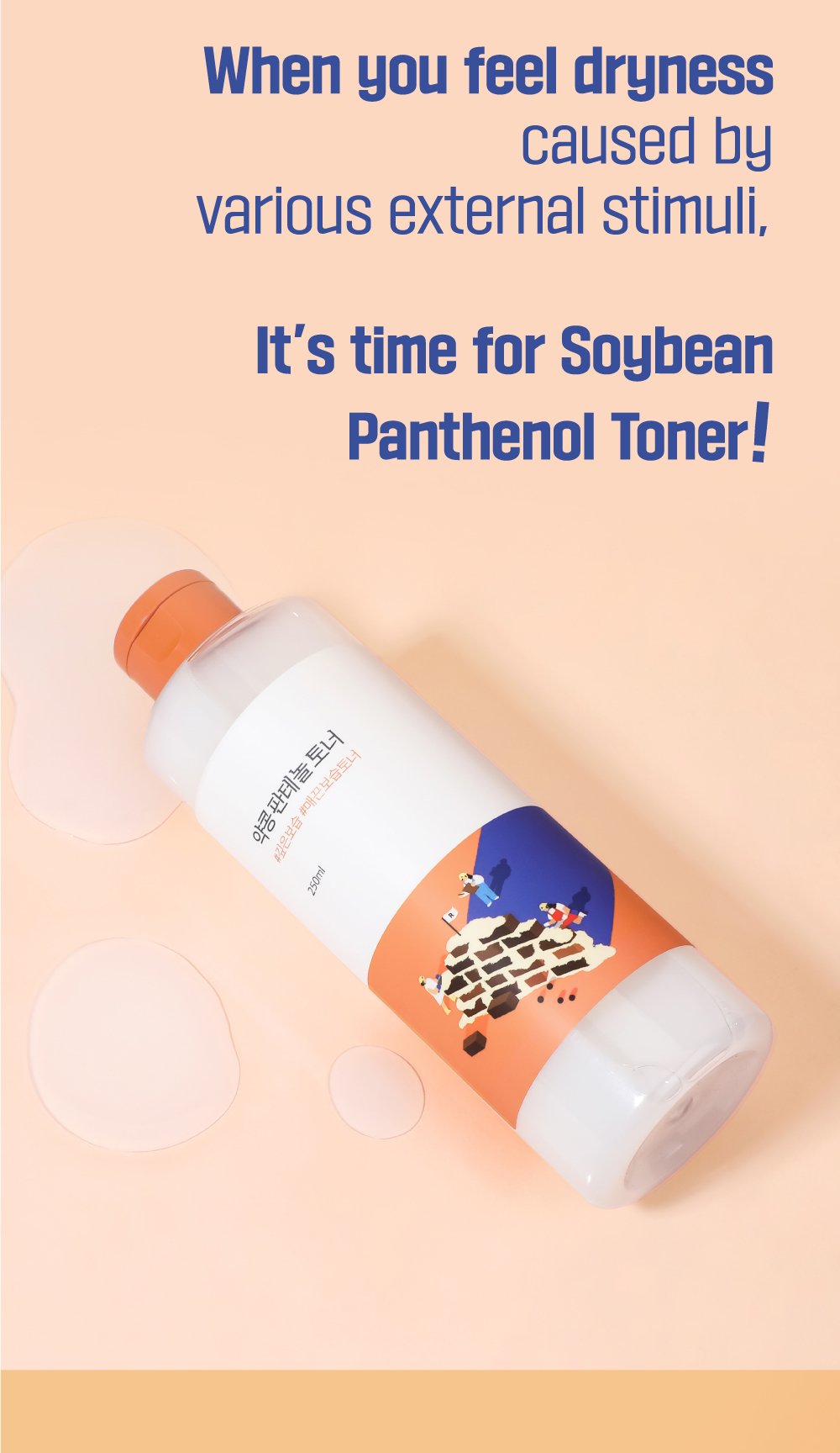 ROUND LAB Soybean Panthenol Toner 8.45 fl. oz.(250ml) detail 2