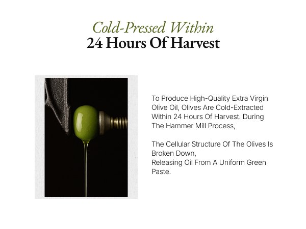 OLLOCDAM Olive3 Premium Extra Virgin Olive Oil Capsules 1500mg 0.05 oz.(1.5g) x 15ea detail 8