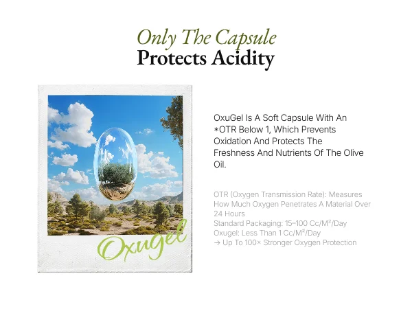 OLLOCDAM Olive3 Premium Extra Virgin Olive Oil Capsules 1500mg 0.05 oz.(1.5g) x 15ea detail 9