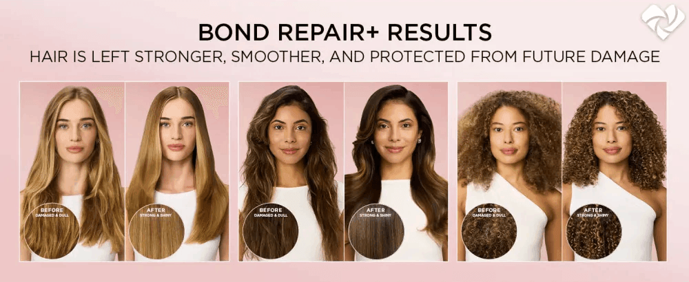 L'Oreal Paris Sulfate Free Bond Repair+ Pre-Shampoo with Amino Acid Complex, EverPure, 5.1 fl. oz.(150ml) detail 3