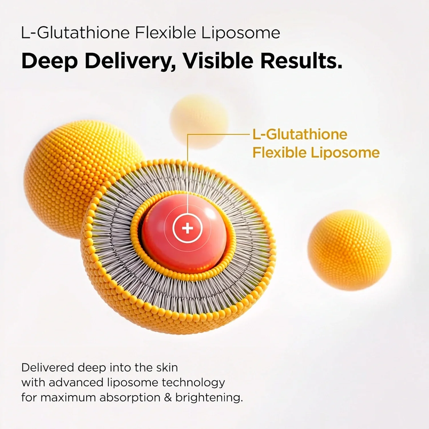 PURCELL 88b/ml L-glutathione Flexible Liposome 1.01 fl. oz.(30ml) detail 4
