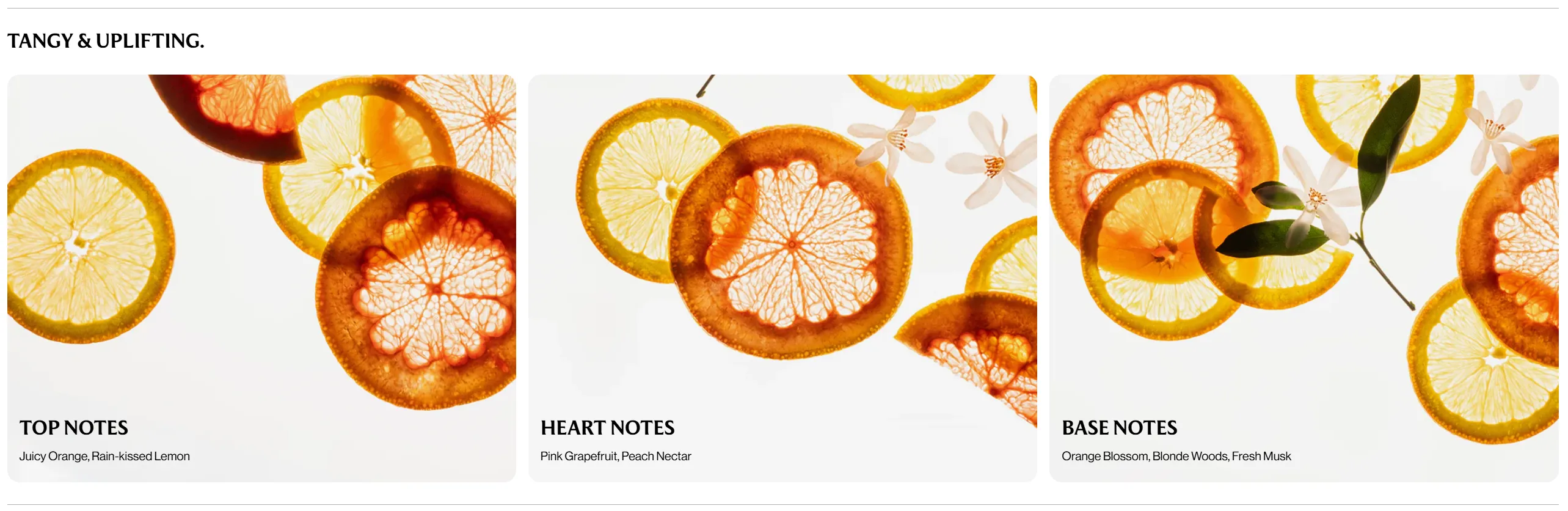 Product detail