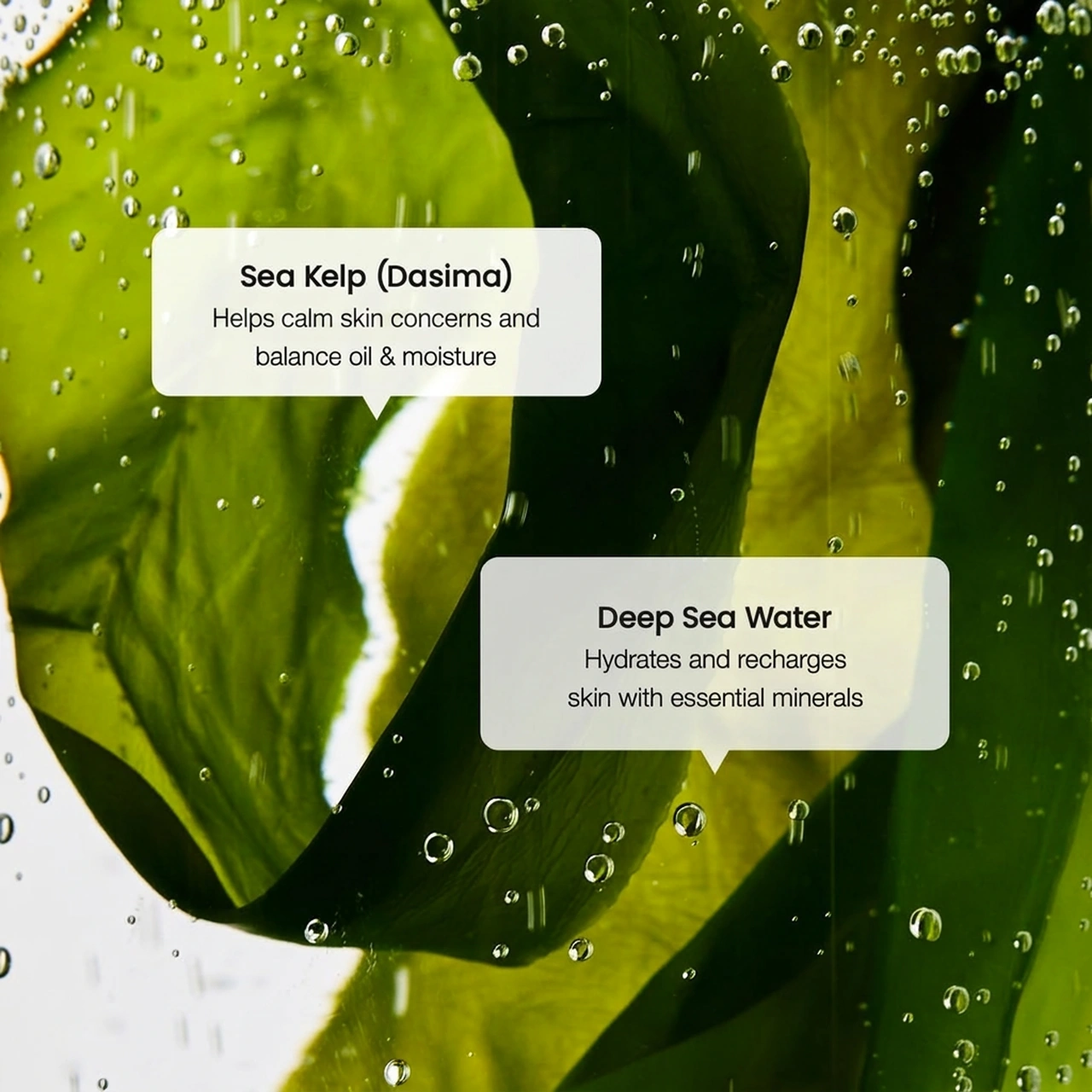 Biodance Refreshing Sea Kelp Serum 1.01 fl. oz.(30ml) - Image 5 of 7