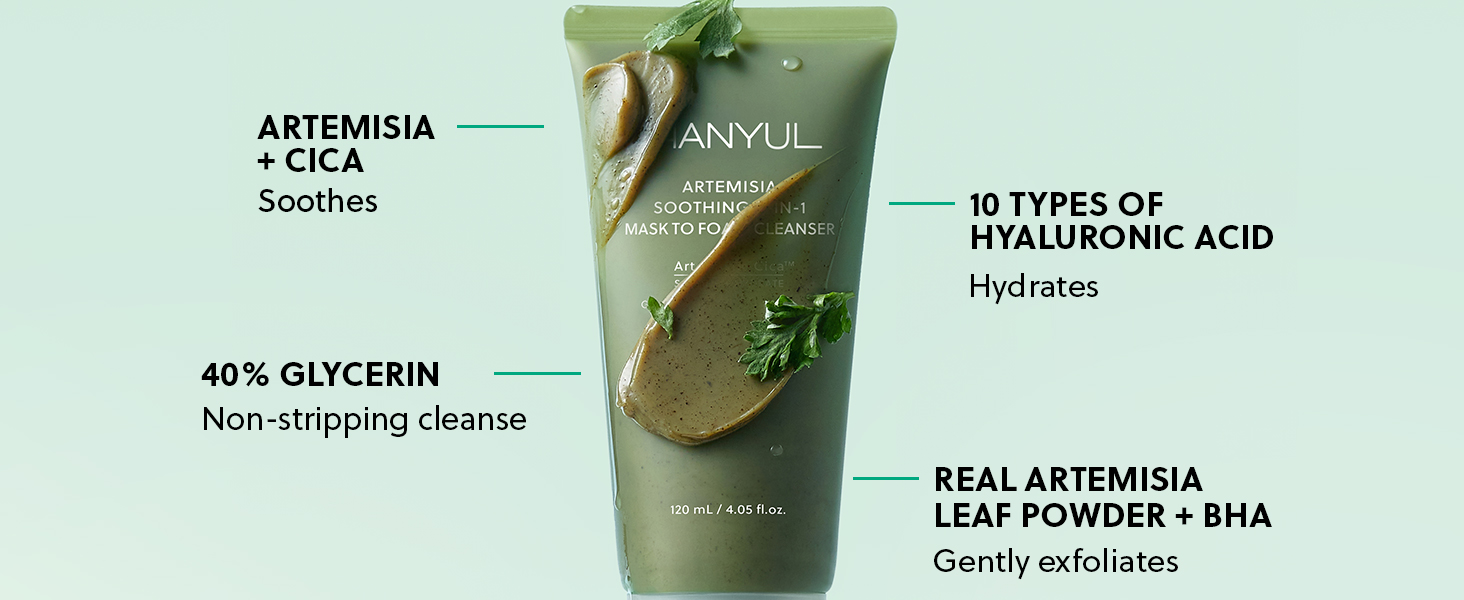 HANYUL Artemisia Soothing 2‑in‑1 Mask To Foam Cleanser 4.05 fl. oz