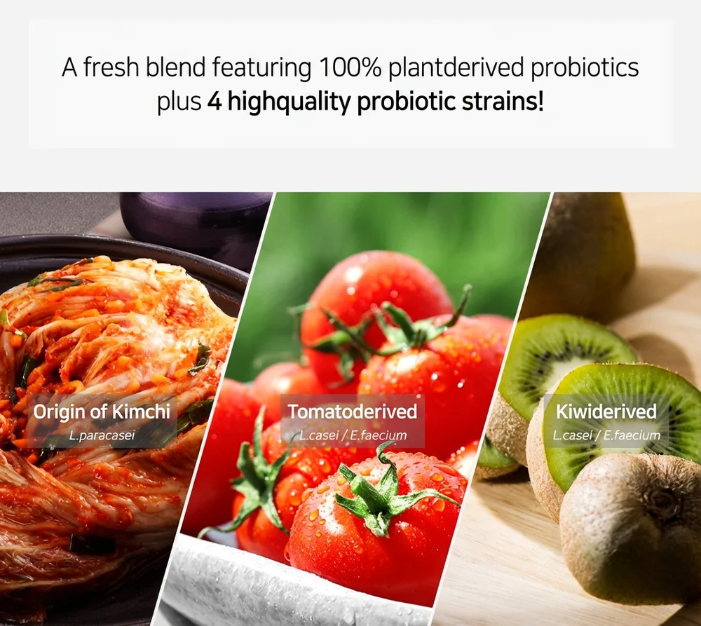 LACTO-FIT Vegetable 4.2 oz.(120g) x 60ea detail 2