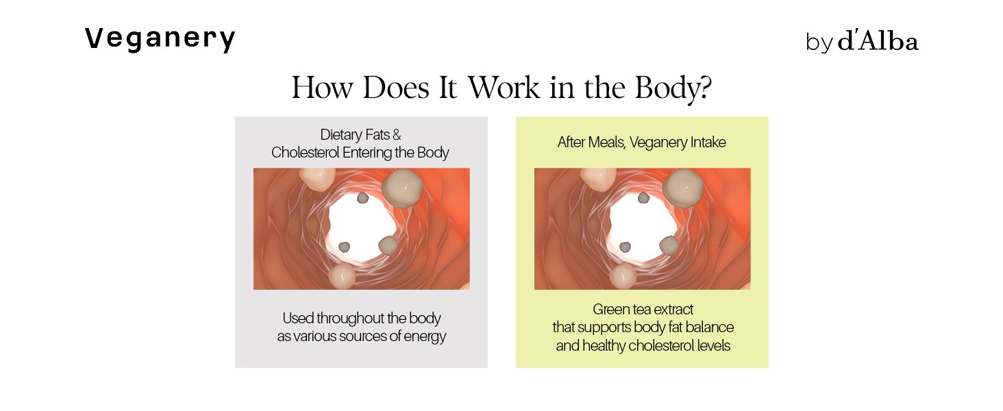Veganery by d'Alba Body Balance & Immune Dietary Supplement Tablets 0.4 oz.(11.2g) detail 5