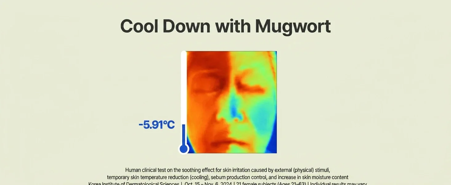I’m From Mugwort Fluid Cream 1.69 fl. oz.(50ml) detail 5